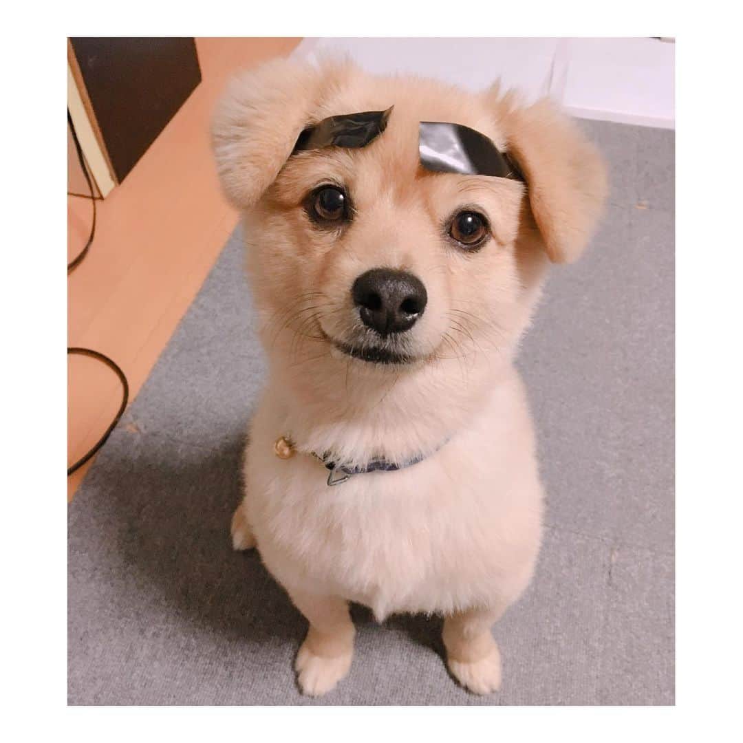 加村真美さんのインスタグラム写真 - (加村真美Instagram)「まる見て元気だしてっ」12月14日 22時23分 - kamura_mami