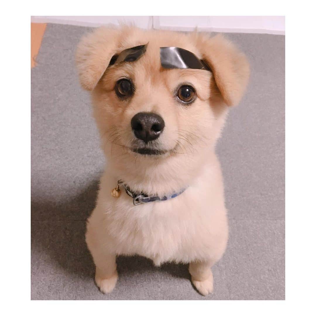 加村真美さんのインスタグラム写真 - (加村真美Instagram)「まる見て元気だしてっ」12月14日 22時23分 - kamura_mami