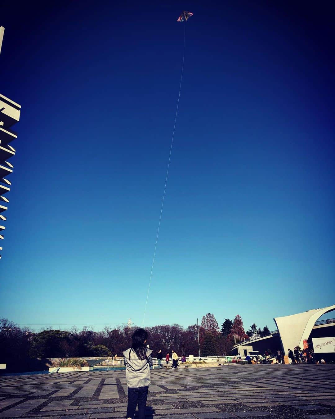 飯沼誠司さんのインスタグラム写真 - (飯沼誠司Instagram)「Autumn of sports. 風があると凧を上げようと言い出す娘。 空と繋がるようで良いよね。 出張前に短い時間でも娘と、さっとスポーツ！ #sports  #autumnofsports  #kite」12月14日 22時46分 - seiji_iinuma