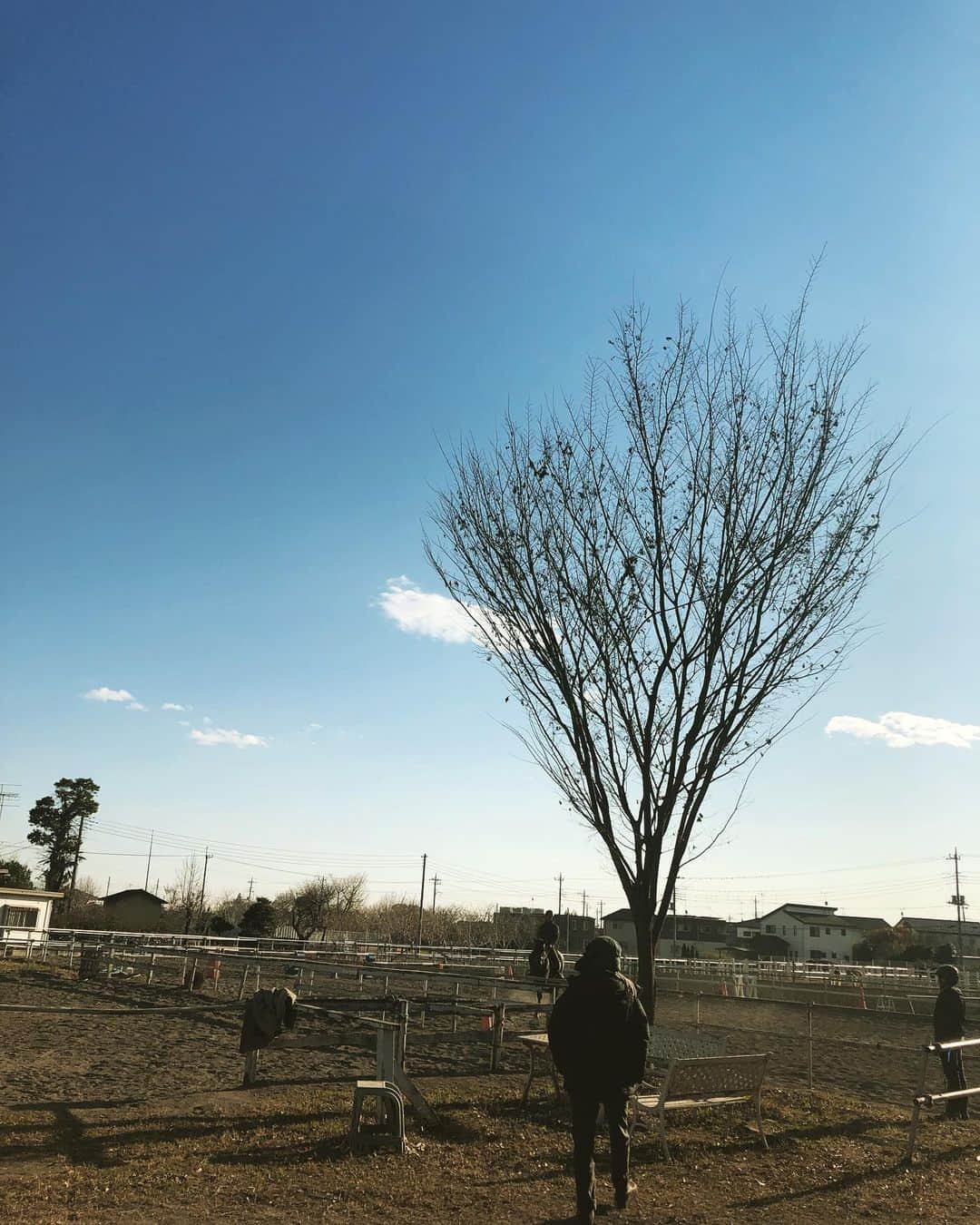 草刈麻有のインスタグラム