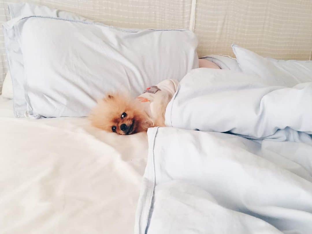 のインスタグラム：「It’s been 2 years without you my love🐹〰️ I miss you...really miss you. How’s going on up there??🌈☁️ Are you enjoy rolling over the cloud ?☁️❤️ send me some clues🌟」