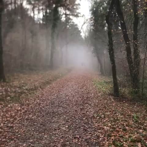 クリストフ・ルメートルのインスタグラム：「On commence à sortir la tête du brouillard. Et nos têtes sont pas belles à voir après cette séance de côtes 😂 #asics #athletisme #entrainement #sprint」