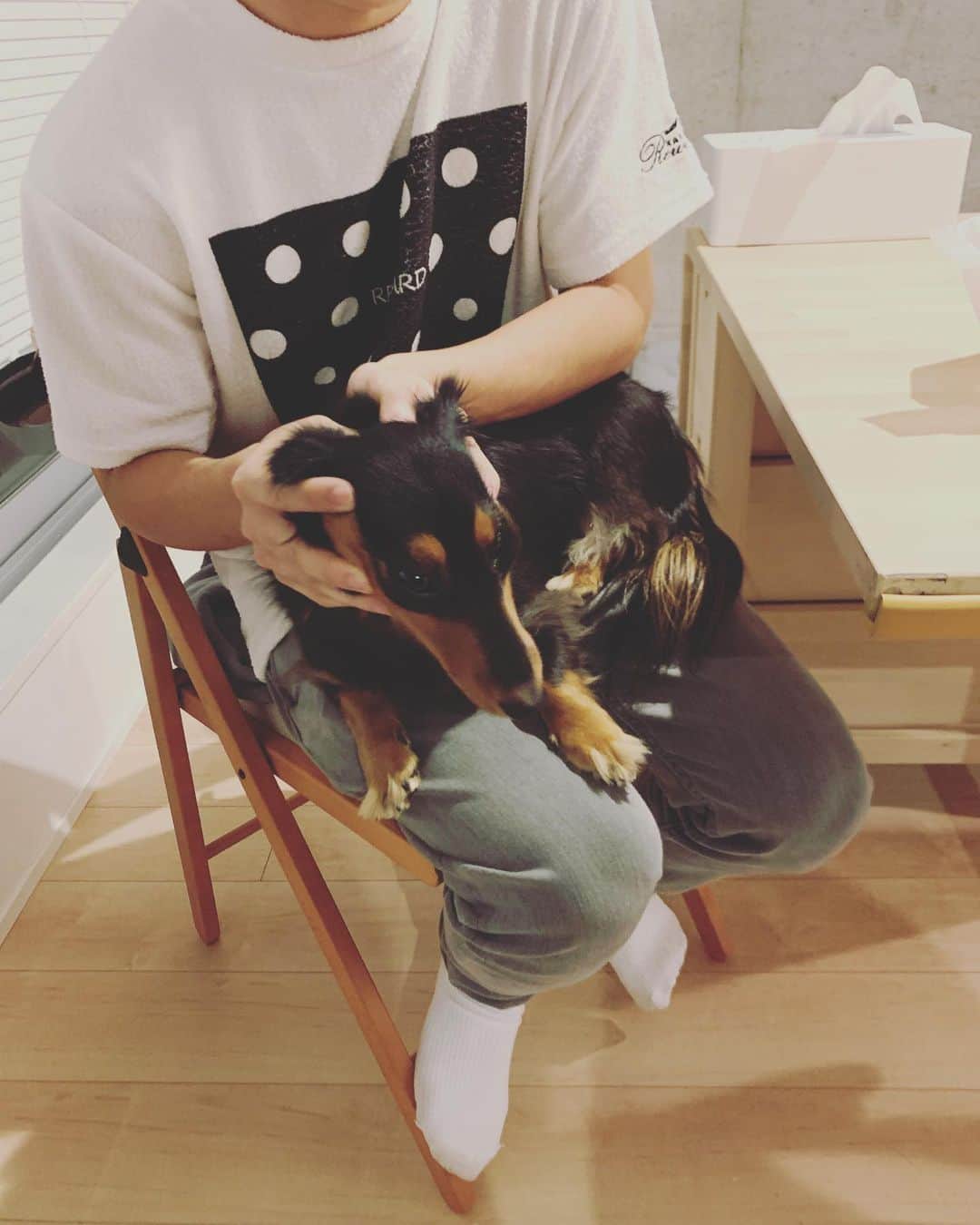すしらーめん《りく》のインスタグラム：「ウェーブ「ぐうう。。」 #小顔マッサージ #犬」