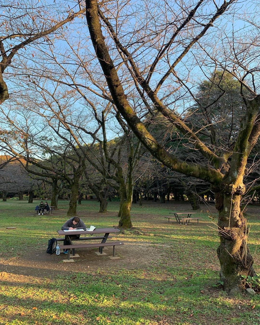 オ・ジェソクさんのインスタグラム写真 - (オ・ジェソクInstagram)「Yoyogi Park& fuglen Coffee  Tokyo, 2019/11/15 @jinyonn」12月15日 9時52分 - jaesuk_oh