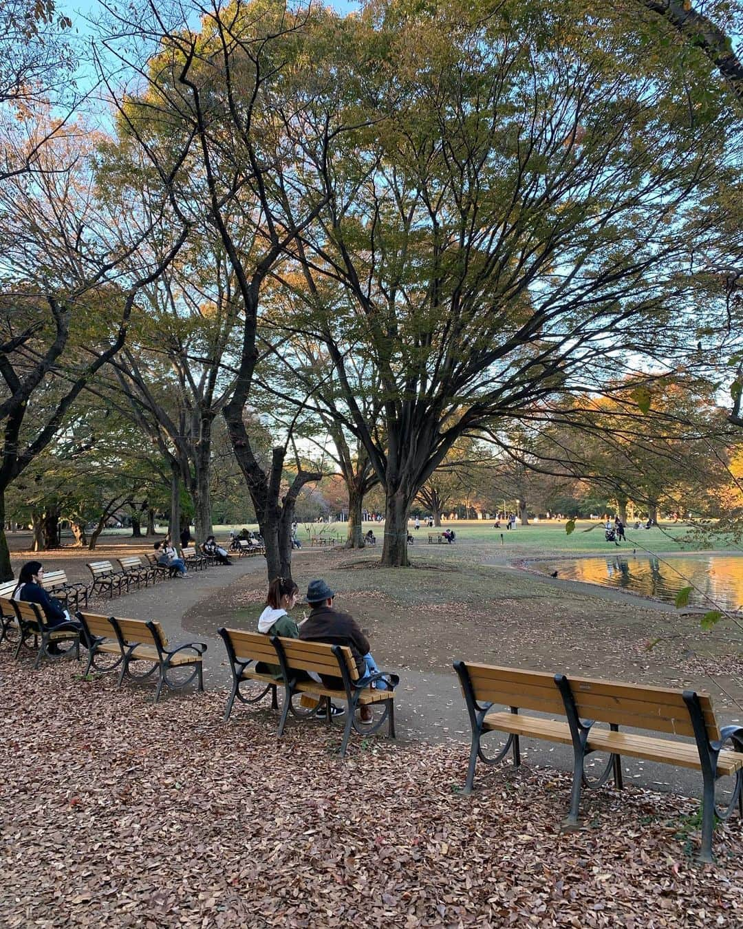 オ・ジェソクさんのインスタグラム写真 - (オ・ジェソクInstagram)「Yoyogi Park& fuglen Coffee  Tokyo, 2019/11/15 @jinyonn」12月15日 9時52分 - jaesuk_oh