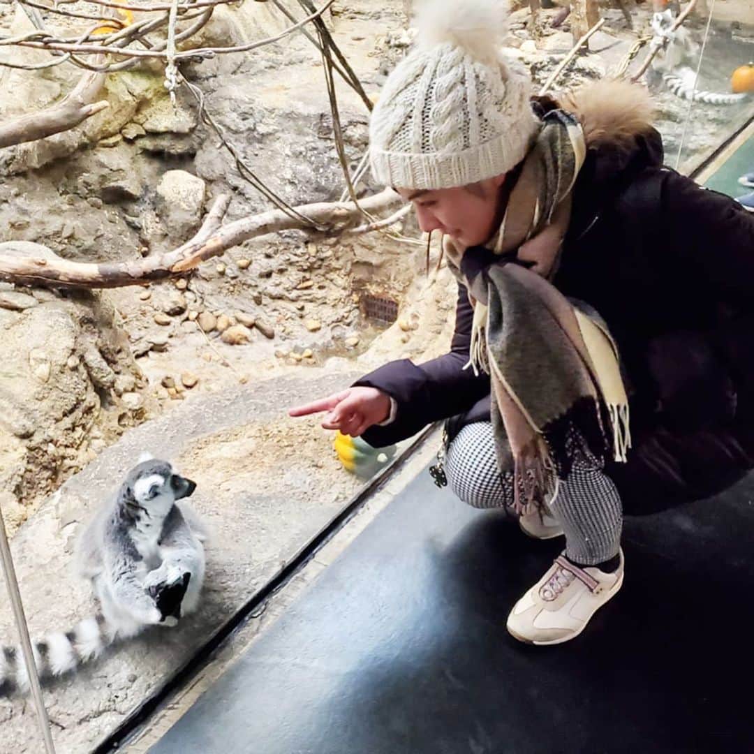 逢月あかりさんのインスタグラム写真 - (逢月あかりInstagram)「握手😊✨ . . じーっと見つめてきて可愛かった💕😖 . #動物園 #猿 #🐒 #zoo」12月15日 10時16分 - akari.ouzuki