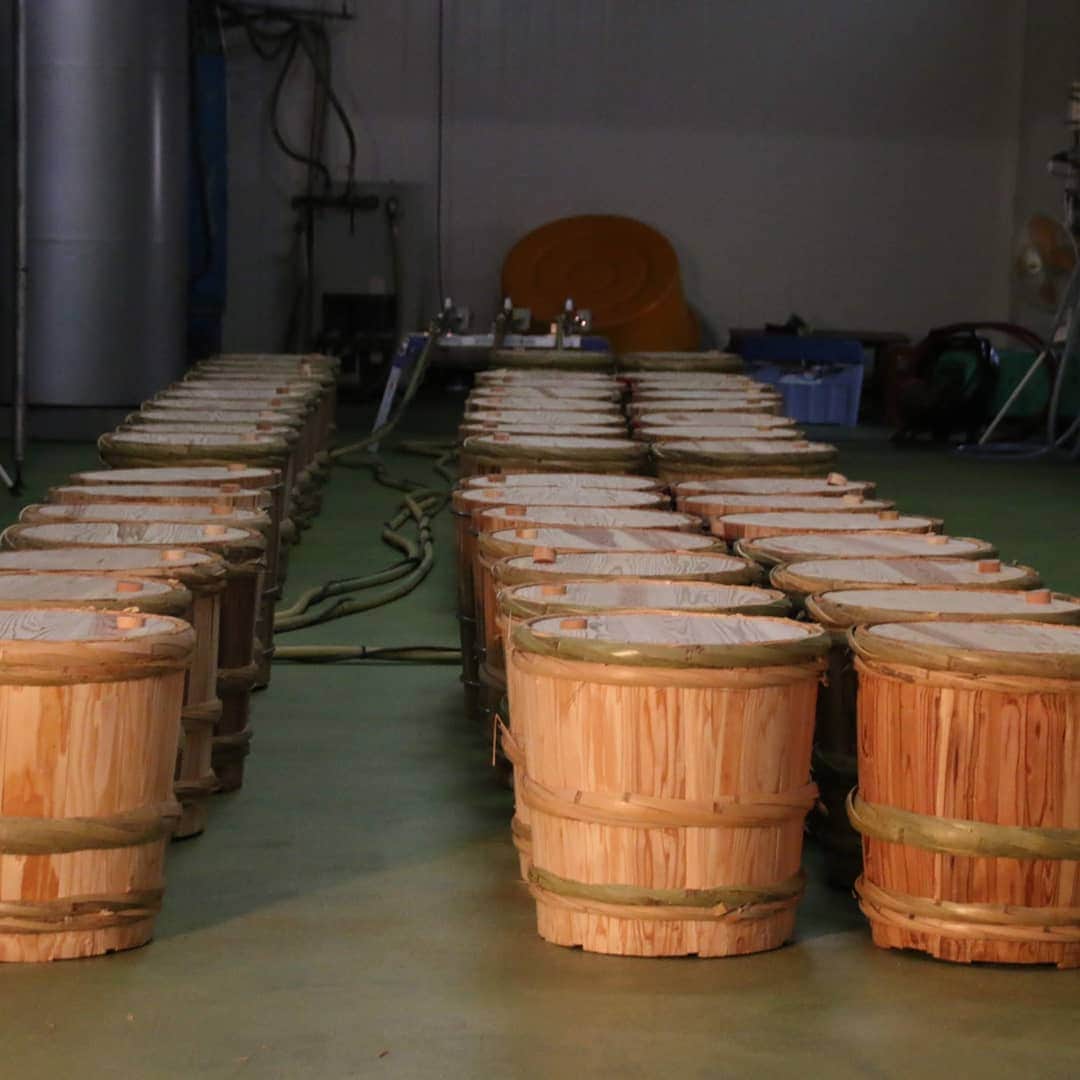 今堀恵理さんのインスタグラム写真 - (今堀恵理Instagram)「シャンプーハットのてつじさん主催『てつじと行く　菊正宗　樽酒マイファクトリー』に参加して11人で貸し切りで樽酒の工場見学しました。 なかなか見る事の出来ない職人さんが樽を作る工程を目の前で見たり日本酒の歴史を学んだり楽しかった～😍　見学の後はみんなでお食事したよ⤴🎶 神戸の灘区は良い酒蔵が有りますよ。 「日本酒が好き過ぎて米から日本酒が作りたい」と言うてつじさんの日本酒愛で田植えから始まり瓶詰めやラベル貼りまで…みんなで日本酒を作りましょうと言うクラウドファンディング第4期募集されてますよ❤️お好きな方は是非  私のコーデ ニットとピアスはCHANEL 革のブルゾンはJbrand 時計は 　@nomonday_jp  クーポンコード、 『eriim1205』 使用で10パーセントオフになります。  #菊正宗　#酒蔵　#sake #樽酒　#kobe #クラウドファンディング　#シャンプーハット　#櫻正宗 #nomonday　#ノーマンデー　#腕時計　#時計　#手元倶楽部」12月15日 10時25分 - eriimahori