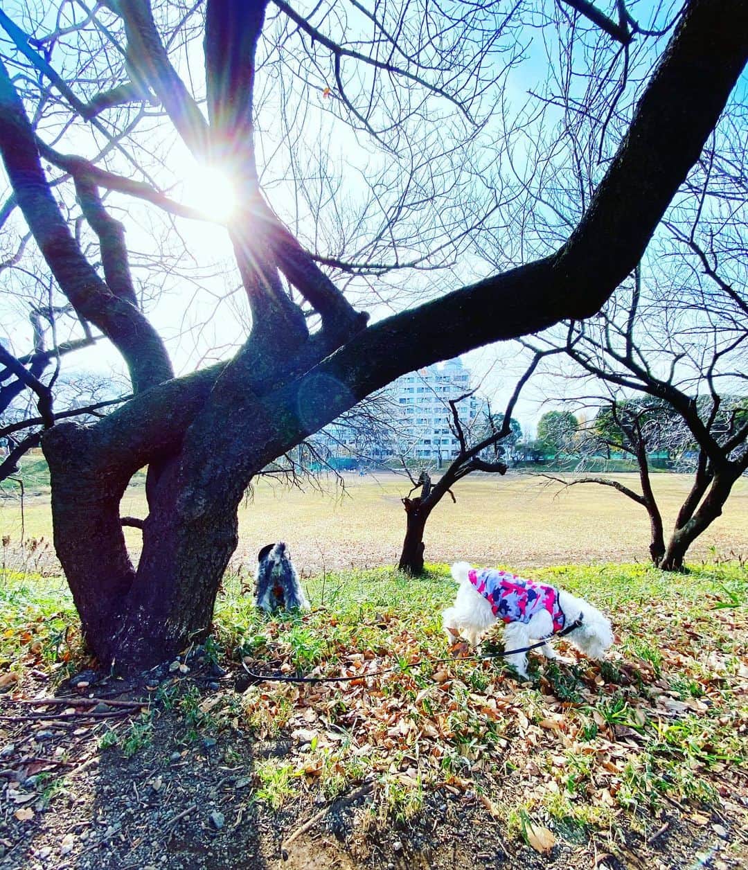 谷川じゅんじのインスタグラム