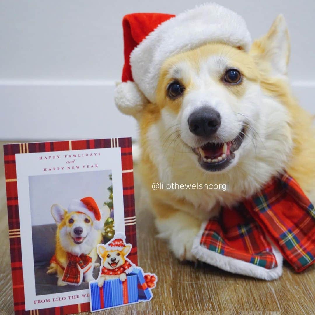 Liloさんのインスタグラム写真 - (LiloInstagram)「🎁 HOLIDAY CARD AND STICKER GIVEAWAY 🎄 ⠀⠀⠀⠀⠀⠀⠀⠀⠀ To enter, you can do any of the following three things: 1) like/comment a holiday emoji🎄🎁🎅❄️☃️, 2) like/comment your favorite thing about the holidays, 3) tag someone. For every tag you’ll get one extra entry, so keep tagging people! ⠀⠀⠀⠀⠀⠀⠀⠀⠀ Contest ends on 12/20/19 at 11:59 PM Pacific. (US/CANADA ONLY) *CONTEST CLOSED*」12月15日 10時44分 - lilothewelshcorgi