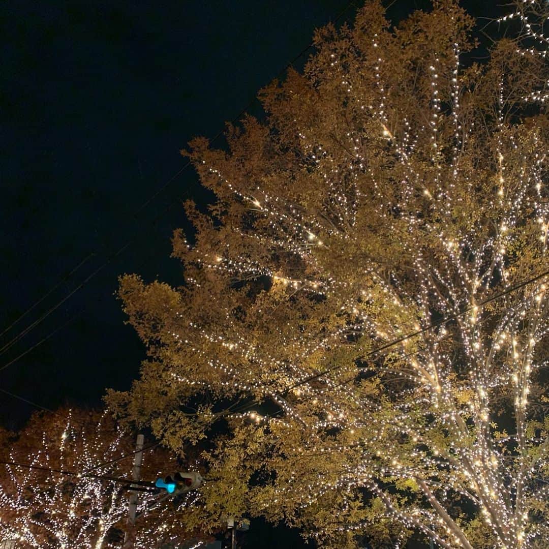 沢瀉美緒さんのインスタグラム写真 - (沢瀉美緒Instagram)「※ Sooo beautiful illumination @rohm_jp_kyoto.illumination ✨ . とっても綺麗なROHMの イリミネーションを見に 連れてってもらいました💛 . メタセコイアの色と相まって とっても綺麗でした。 . . #イルミネーション #illumination #rohm #rohmillumination #kyoto #京都」12月15日 20時13分 - mio_omodaka