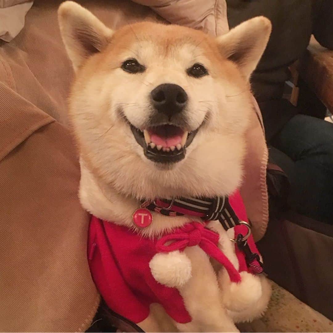 てんパパのグルメインスタ