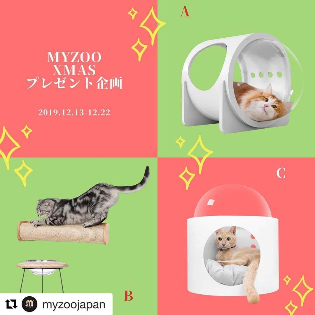 コテツさんのインスタグラム写真 - (コテツInstagram)「2019/12/15 ホワイトかわいい❤︎ #Repost @myzoojapan with @get_repost ・・・ - MYZOOクリスマスプレゼント企画🎁 皆様に日頃の感謝の気持ちをこめて、クリスマスプレゼント企画を開催させていただきます‼️ . 抽選賞品： A：#宇宙船アルファ -ホワイト×1個 B：#CYLINDER爪研ぎポール×1本+#アウタースペースフードボウル ×1個 C：#宇宙船ガンマ-ホワイト×1個 . 応募方法： 1.＠MYZOOJAPAN　をフォロー 2.この投稿にいいね 3.この投稿のコメント欄にA、B、Cどちらかご希望の商品をコメントしてください。 これだけで応募完了。 . ＠MYZOOJAPAN　をタグ付けの上、この投稿をリポストにのせてくれた方は当選率UP！（リポストの際　#MYZOOクリスマスプレゼント企画　をタグ付けてから投稿してください。） . 応募期間：2019/12/14（土）から2019/12/22（日）23：59まで 当選者発表：12/23夕方頃 . 注意事項： 1.アカウントを非公開にしている場合は対象外となります。 2.応募は日本国内にお住まいの方のみ。 3. 当選DM送信後1週間以内にお返事がない場合は、当選は無効とさせて頂きます。 . . 沢山のご応募をお待ちしております。 . . #myzoojapan  #myzooクリスマスプレゼント企画  #クリスマスイベント  #クリスマスプレゼント #猫ベッド #猫食器  #ねこつめとぎ • • • #猫 #ねこ部 #ねこら部 #ねこすたぐらむ #ふわもこ部 #ペコねこ部 #のらねこ部」12月15日 21時26分 - kotetuchan