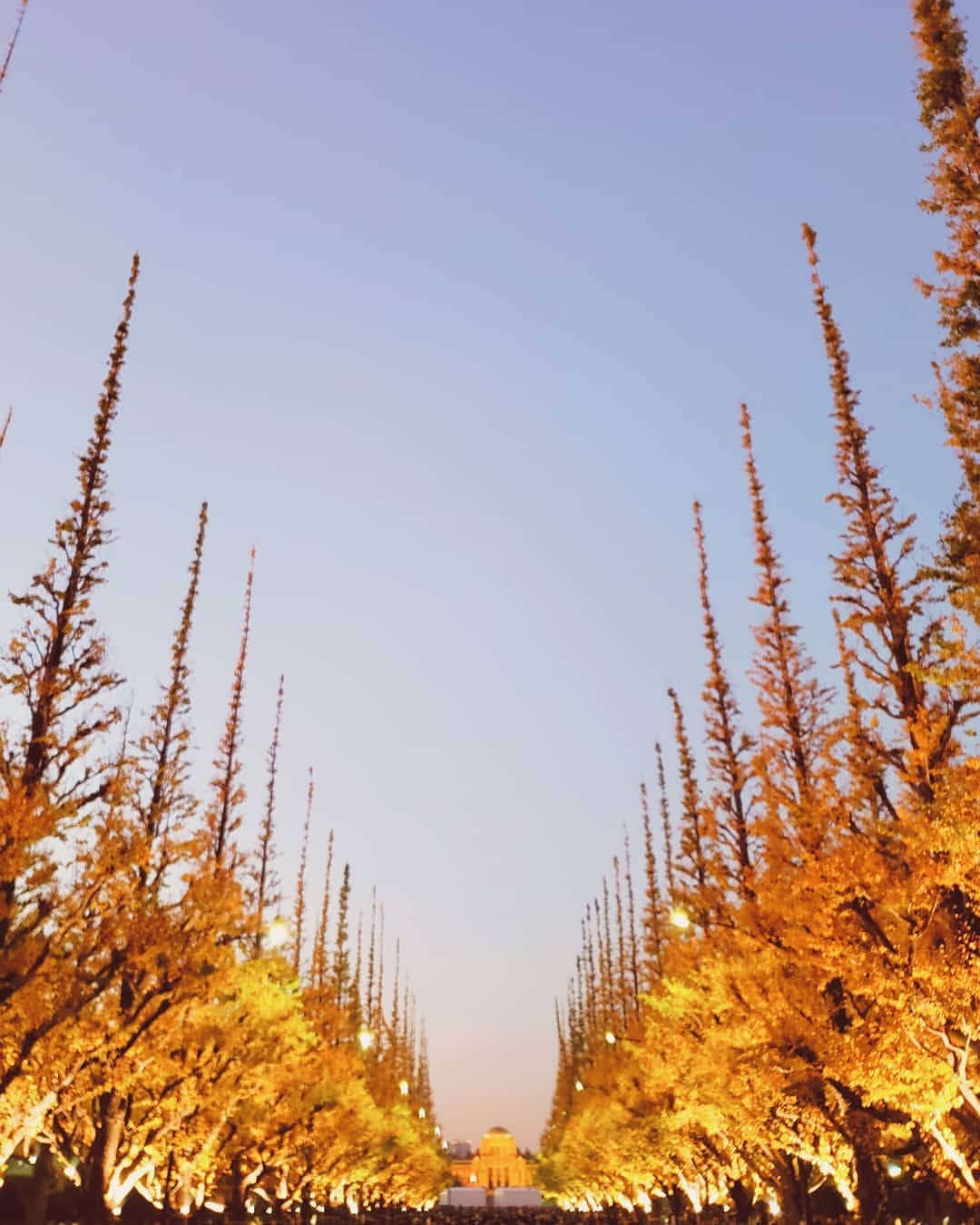 天霧真世さんのインスタグラム写真 - (天霧真世Instagram)「· 『神宮外苑いちょう祭り』🍂 · 真っ直ぐピンと伸びた美しい銀杏並木✨ · · #神宮外苑いちょう祭り #銀杏並木 #いちょう並木 #神宮外苑 · 🌈@mayomayo.com_ 💎@mayosacise.official ✏@mayo_paint · ·」12月15日 21時27分 - mayomayo.com_