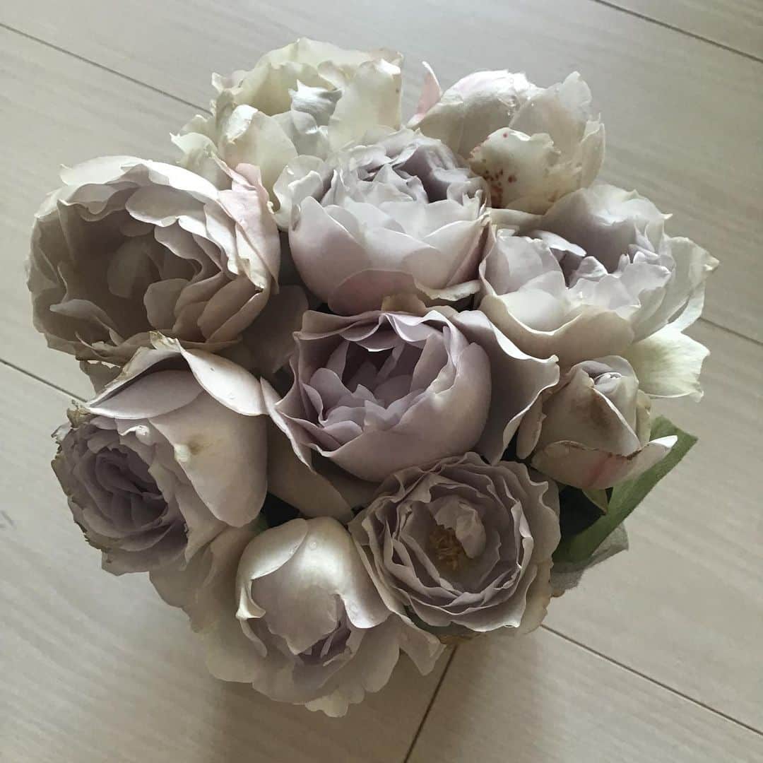 柴田淳さんのインスタグラム写真 - (柴田淳Instagram)「こんな真冬でも咲いてくれてる私の花。 可哀想だから全部摘んでお部屋で愛でます🥰 #薔薇 #rose #mygarden」12月15日 13時58分 - shibatajun_official