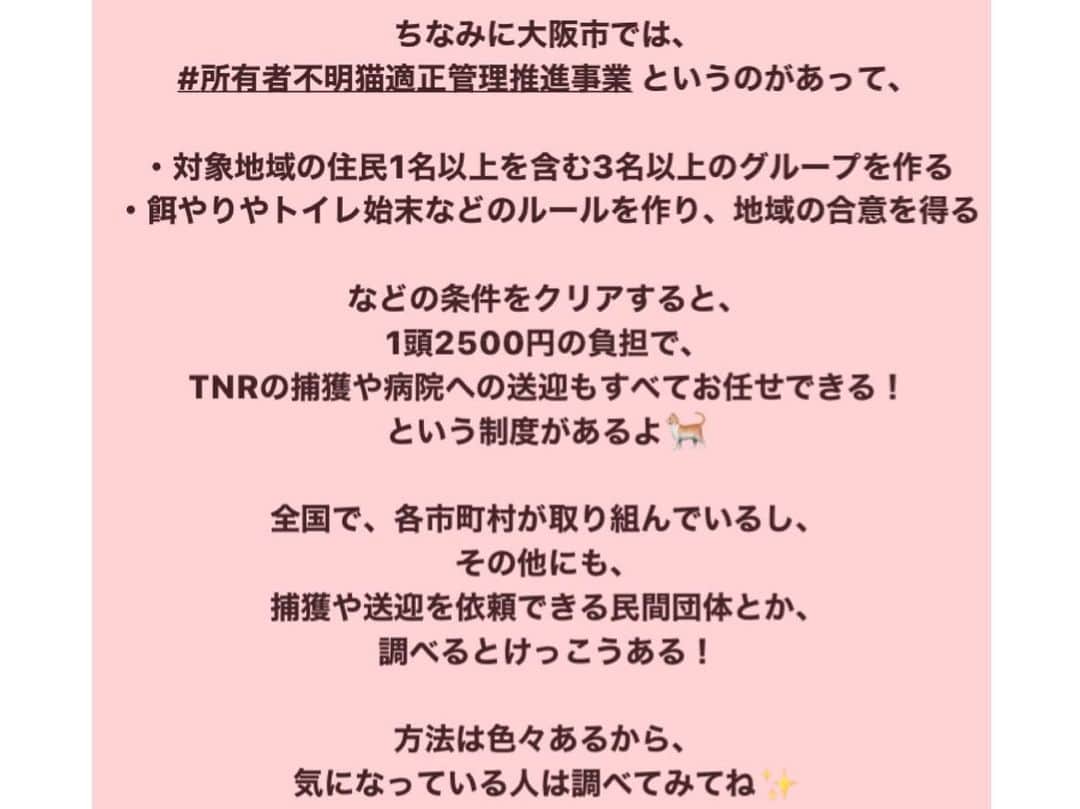 白井ゆかりさんのインスタグラム写真 - (白井ゆかりInstagram)「#さくらねこTNR活動﻿ 詳細はストーリーにまとめました🐈🐾﻿ ﻿ ﻿ #殺処分ゼロ を目指し、﻿ 野良猫に避妊手術を施し、地域猫として見守るための活動。﻿ ﻿ ﻿ 👉#TNR とは？﻿ Trap(トラップ)捕獲すること﻿ Neuter(ニューター)避妊去勢手術のこと﻿ Return(リターン)猫を元の場所へ帰す﻿ ﻿ 👉#さくらねこ とは？﻿ 避妊手術を施された野良猫は、その目印として片耳の耳先をV字にカットされます。﻿ ﻿ この目印があることで、再度捕獲麻酔をされるリスクを避けられます。﻿ 一代限りの命となった地域猫を大目に見てね、の意味合いも。﻿ ﻿ ﻿ ﻿ 今回利用させて頂いたのは #どうぶつ基金 さんのTNRチケット。﻿ ﻿ 寄付とボランティアと提携動物病院で成り立っている @doubutukikin 。﻿ ありがとうございました✨﻿ ﻿ ﻿ ﻿ 地域にまだまだ野良猫たくさんいるので、﻿ #TNR活動 続けていく！﻿ ﻿ ﻿ ﻿ #捕獲器 #猫﻿ #僕らの居場所は言わにゃいで #街ねこ #街ねこ制度 #野良猫 #地域猫 #さくらねこサポーター #猫ボラ #猫ボランティア #SDGs #持続可能な開発目標﻿ ﻿」12月15日 14時24分 - yukarealestate