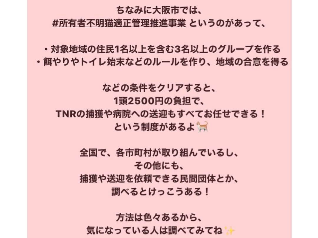 白井ゆかりさんのインスタグラム写真 - (白井ゆかりInstagram)「#さくらねこTNR活動﻿ 詳細はストーリーにまとめました🐈🐾﻿ ﻿ ﻿ #殺処分ゼロ を目指し、﻿ 野良猫に避妊手術を施し、地域猫として見守るための活動。﻿ ﻿ ﻿ 👉#TNR とは？﻿ Trap(トラップ)捕獲すること﻿ Neuter(ニューター)避妊去勢手術のこと﻿ Return(リターン)猫を元の場所へ帰す﻿ ﻿ 👉#さくらねこ とは？﻿ 避妊手術を施された野良猫は、その目印として片耳の耳先をV字にカットされます。﻿ ﻿ この目印があることで、再度捕獲麻酔をされるリスクを避けられます。﻿ 一代限りの命となった地域猫を大目に見てね、の意味合いも。﻿ ﻿ ﻿ ﻿ 今回利用させて頂いたのは #どうぶつ基金 さんのTNRチケット。﻿ ﻿ 寄付とボランティアと提携動物病院で成り立っている @doubutukikin 。﻿ ありがとうございました✨﻿ ﻿ ﻿ ﻿ 地域にまだまだ野良猫たくさんいるので、﻿ #TNR活動 続けていく！﻿ ﻿ ﻿ ﻿ #捕獲器 #猫﻿ #僕らの居場所は言わにゃいで #街ねこ #街ねこ制度 #野良猫 #地域猫 #さくらねこサポーター #猫ボラ #猫ボランティア #SDGs #持続可能な開発目標﻿ ﻿」12月15日 14時24分 - yukarealestate