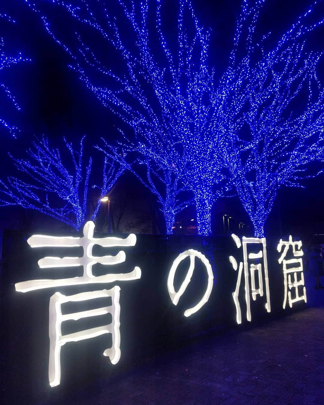 越中睦士さんのインスタグラム写真 - (越中睦士Instagram)「青の世界へようこそ  #青の洞窟」12月15日 15時05分 - makotokoshinaka