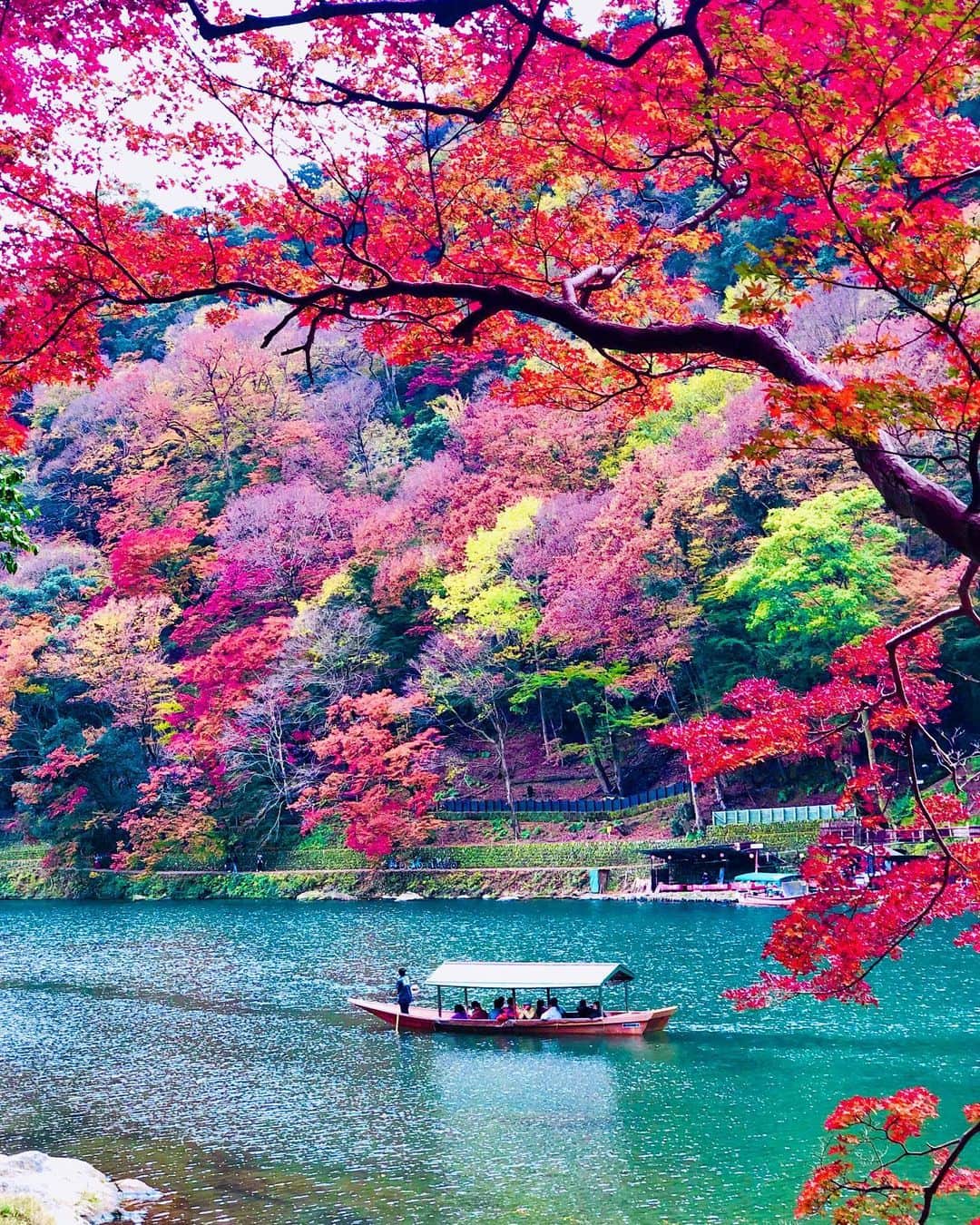 のインスタグラム：「京都市右京区#嵐山  Location kyoto Japan #arashiyama  2019.11.25  紅葉ベストシーズンの11月末に出かけた嵐山🍁🍁 週末は大混雑で渡月橋渡るのに３時間待ちとワイドショーでは言ってたけど、 出かけたのは月曜日だったので混んではいましたが、そこまで殺人的混み具合ではなかったです。 まさにベストシーズン、めちゃくちゃ綺麗でした。  #日本の絶景  #美しい日本  #おとな旅プレミアム  #神社仏閣  #絶景delic  #そうだ京都行こう  #はなまっぷ  #日本庭園  #jalan_travel  #otonatabi_japan  #japanesetemple  #japanesegarden  #ippawards  #special_shots #wu_japan  #loves_united_japan  #total_asia  #igbest_shotz  #amazing_shotz  #awesome_earthpix  #best_earthscapes  #look_japan  #igbest_shots」