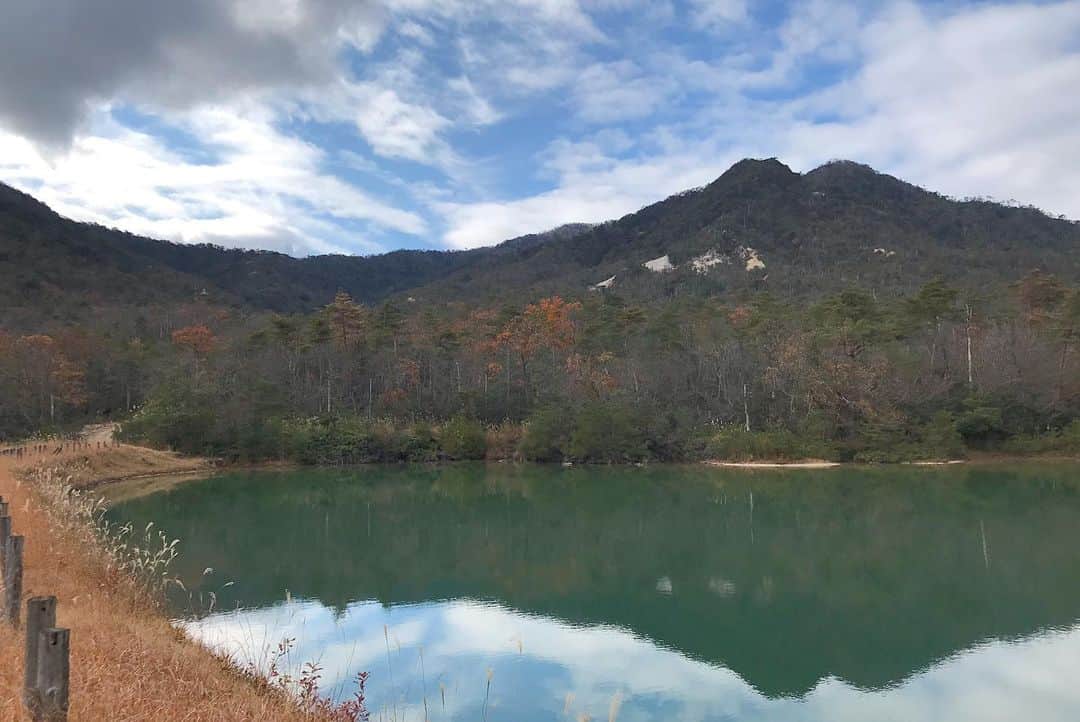 のインスタグラム：「この山は#長谷観音 の始まりの地、観音さまを造る霊木が流れ出た#杣山 。山頂には#元嶽岩屋観音 を祀る。元は寺院が置かれたが、今は朽てその跡を残すのみ。  There's a story of the Kannon in Hasedera temple . About one thousand five hundred years ago, a big tree with great in #lakebiwa .  #長谷寺 #奈良長谷寺 #総本山長谷寺 #花の御寺 #奈良 #hasedera #hasederatemple #temple #japan #japanesetraditional #pilgrimage #nara #tourism #sightseeing #japanesetemple #西国 #西国三十三所 #霊場 #巡礼 #四寺巡礼 #長谷寺が好き」
