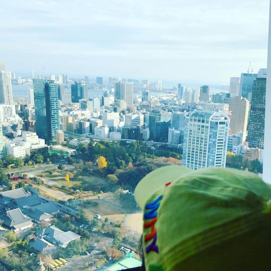水谷さるころさんのインスタグラム写真 - (水谷さるころInstagram)「高いところばっかり行ってる…。今日は東京タワー。息子ははじめて。　#5歳男児マイル　#東京タワー」12月15日 17時06分 - salucoro
