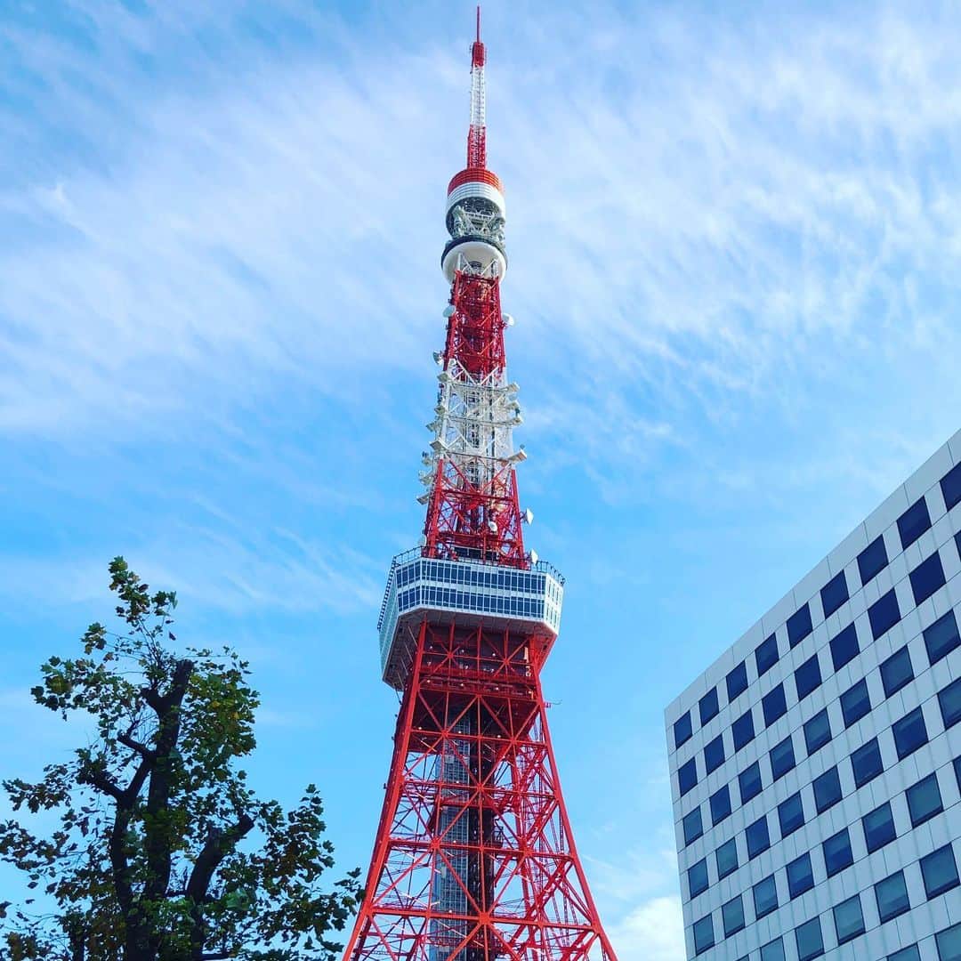 水谷さるころさんのインスタグラム写真 - (水谷さるころInstagram)「高いところばっかり行ってる…。今日は東京タワー。息子ははじめて。　#5歳男児マイル　#東京タワー」12月15日 17時06分 - salucoro