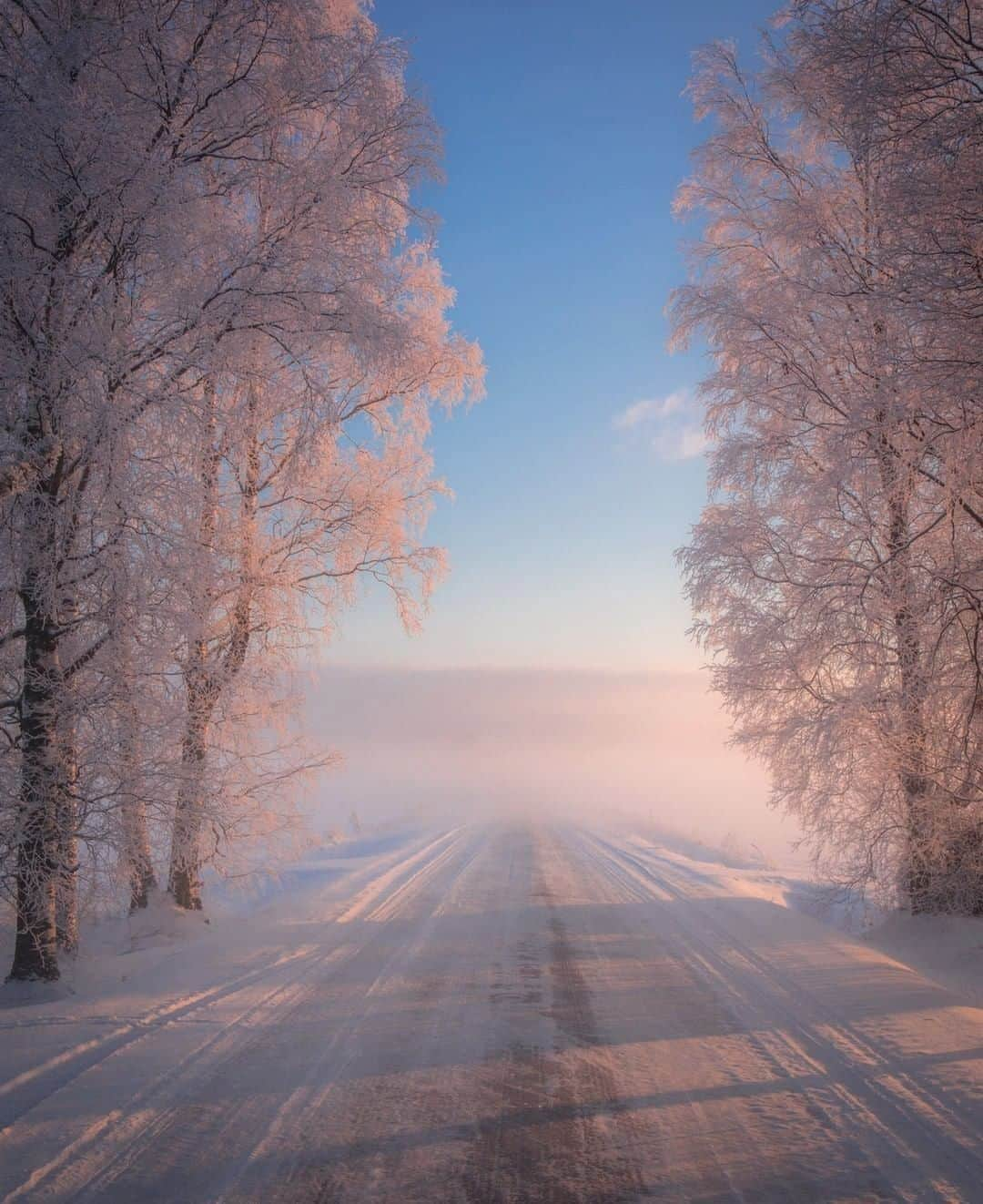 9GAGさんのインスタグラム写真 - (9GAGInstagram)「There was plenty of snow already in Finnish Lapland back in Nov ✨Follow @voyaged for more magical adventures! | By @jukkarisikko -  #9gag #winter #finland #voyaged」12月15日 17時28分 - 9gag