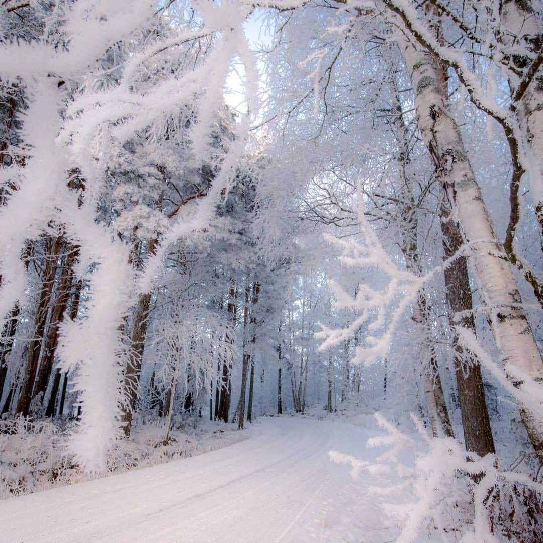 9GAGさんのインスタグラム写真 - (9GAGInstagram)「There was plenty of snow already in Finnish Lapland back in Nov ✨Follow @voyaged for more magical adventures! | By @jukkarisikko -  #9gag #winter #finland #voyaged」12月15日 17時28分 - 9gag