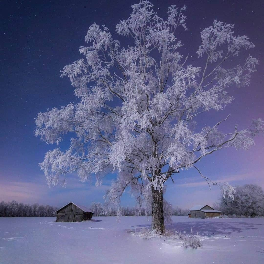 9GAGさんのインスタグラム写真 - (9GAGInstagram)「There was plenty of snow already in Finnish Lapland back in Nov ✨Follow @voyaged for more magical adventures! | By @jukkarisikko -  #9gag #winter #finland #voyaged」12月15日 17時28分 - 9gag