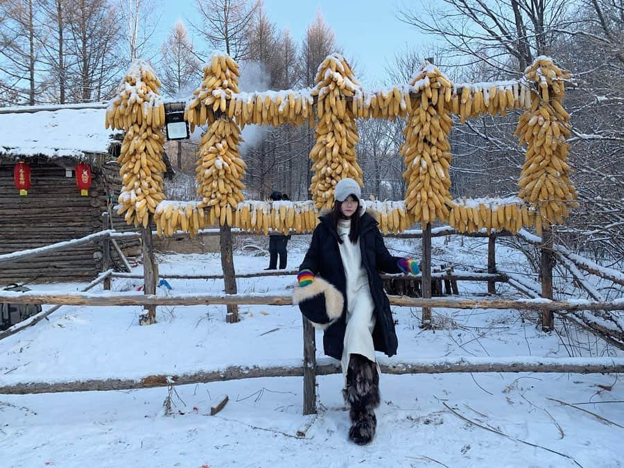 Liga Chiangのインスタグラム：「雪鄉十里 冰雪畫廊 ❄️ 這個雪地森林實在美到爆炸的仙境 這裡長年有7個月都在下雪 是來到黑龍江省最著名的景點之一 也是張藝謀導演拍攝電視電影的御用場地👍 走在雪域裡那潔白無暇的雪❄️ 彷彿自己穿越到一個不可思議的世界之外 🌍 終於明白為什麼它叫做 冰雪畫廊☃️ 它就像畫卷一樣映入眼前的景色 蒼茫到是飄在山間的水墨畫卷一樣 每翻捲一篇就驚嘆一次🌟 走在雪地裡瞬間變成最美的妖怪😂 這裡真的是一個夢幻冰雪的童話世界 此生你們一定要來這裡看看  #黑龍江 #亞布力 #雙峰林場  #冰雪畫廊 #美麗中華 #雪鄉 #凍到面無表情但如此美景值得 #黑龙江 #哈尔滨 #牡丹江 #harbin」