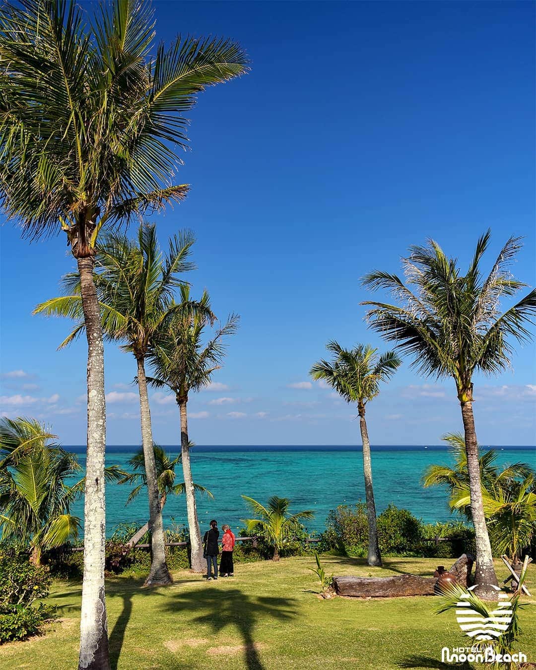 ホテルムーンビーチさんのインスタグラム写真 - (ホテルムーンビーチInstagram)「12月15日、海を眺めて。今朝のムーンビーチは12月と思えないような青い空、青い海が広がっていました。Looking at the sea 15Dec2019 #沖縄 #恩納村 #沖縄ホテル #沖縄リゾート #沖縄観光 #沖縄旅行 #沖縄ビーチ #インフィニティプール #沖縄好き #沖縄好きな人と繋がりたい #ホテルムーンビーチ #ムーンビーチ #ムーンビーチホテル #okinawa #onnason #okinawabeach #okinawahotel  #okinawatrip #okinawasunset #okinawalikes #okinawalabo #okinawa_life #hotelmoonbeach #moonbeach #moonbeachhotel #docomomo #japan #visitjapan #visitokinawa #okinawajapan」12月15日 18時10分 - themoonbeachmuseumresort