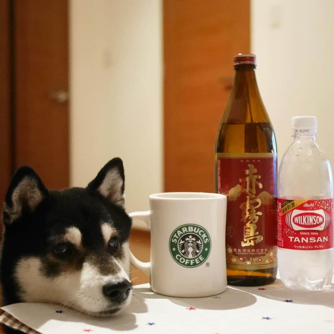くろのインスタグラム