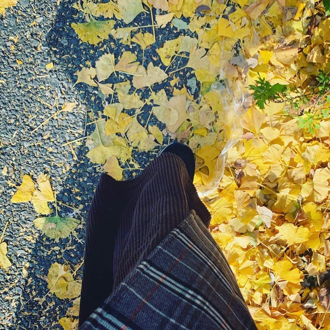 三倉茉奈さんのインスタグラム写真 - (三倉茉奈Instagram)「綺麗。黄色の絨毯。 #イチョウ #紅葉の季節」12月15日 19時49分 - mana_mikura_official
