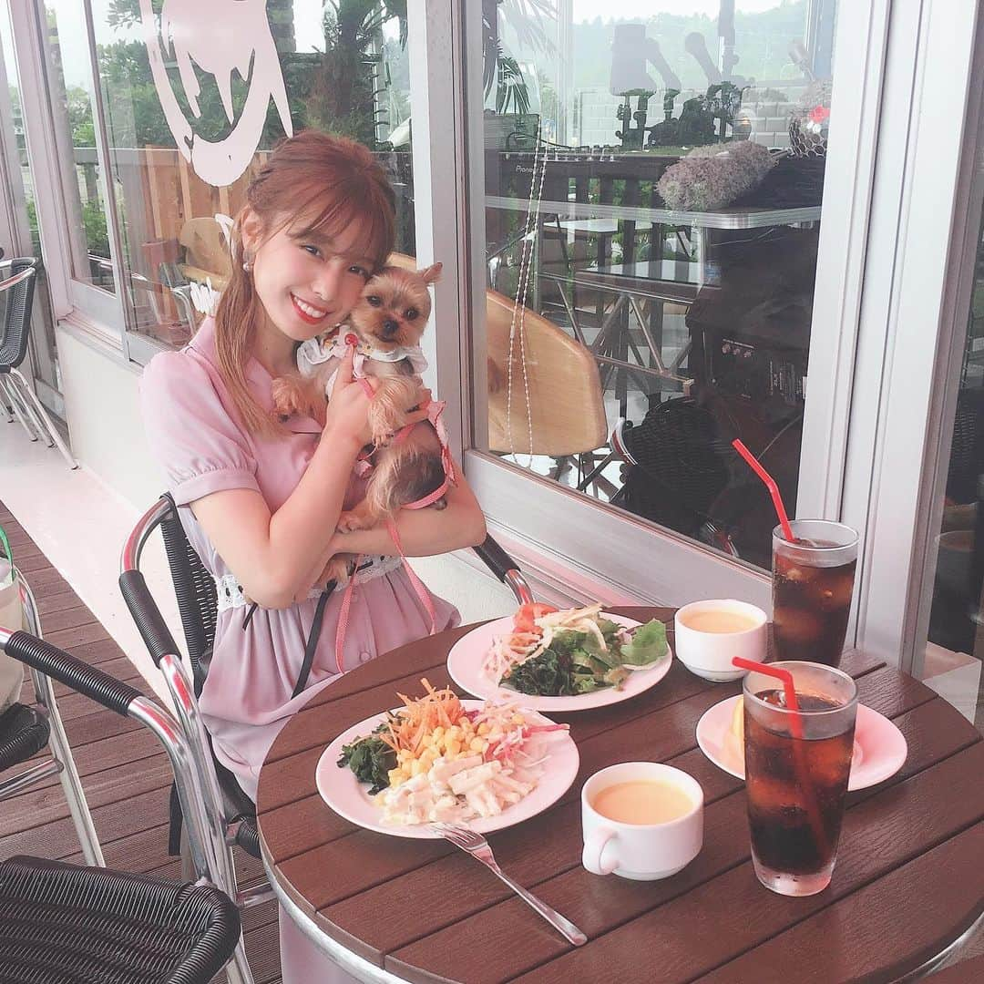 小嶋菜月さんのインスタグラム写真 - (小嶋菜月Instagram)「夏の思い出…🐶💗 . . #夏 #思い出 #愛犬 #犬 #よーくしゃてりあ #ヨークシャテリア #アンジュ #天使 #🐶 #👼」12月15日 19時43分 - kojimanatsuki_offical