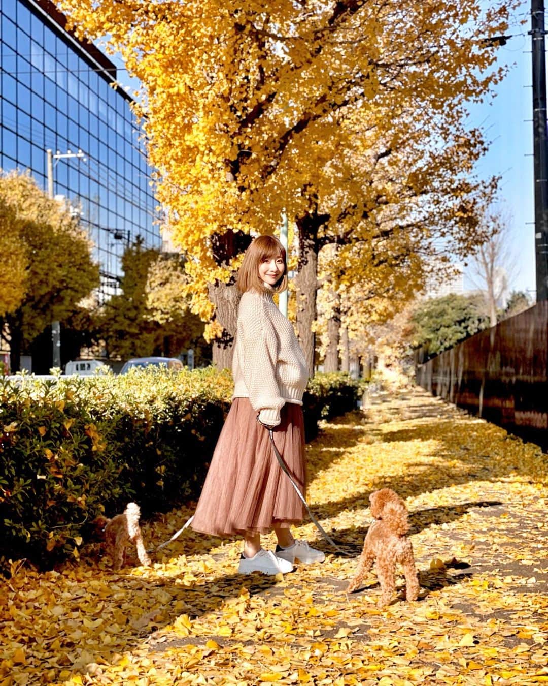 のインスタグラム：「・ 黄色い絨毯💛🍁🧡🍂💛🧡💛🧡 こんなに真っ黄色の時って一瞬。 とっても綺麗だった〜🥰 #coordinate  tops,skirt#amail @amail_official  shoes#louisvuitton @louisvuitton  bag#sahabyelliee @sahabyelliee  #sサイズコーデ  #153cmコーデ #おちびコーデ #おちびの輪 #妊婦コーデ #マタニティコーデ #妊娠9ヶ月 #マタニティライフ #ぷんにーらいふ #おさんぽコーデ」