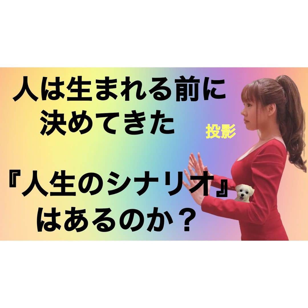 本田裕子さんのインスタグラム写真 - (本田裕子Instagram)「人は生まれる前に決めてきた「人生のシナリオ」があるのか？ そして「投影」について🗣 . 先ほど、YouTube番組 第24回目をアップしました🎞 . 今回のテーマは、『人は生まれる前に決めてきた「人生のシナリオ」があるのか？ そして「投影」について』です。 . ★なぜ、経験は主観的なものなのか？ . ★人は生まれる前に決めてきた「人生のシナリオ』があるのか？についてと、それよりも高い視点からの話。 . ★人の一言（言葉）で、人を生かすこともできるし、殺すこともできる。 （言葉が人間に及ぼす力は本当に甚大。又、結局は発した言葉やエネルギーは自分にかえってくる。） . ★あなたの人生の目的が何であるか？にかかわらず、わたし達の人生には、必ず『○○、智恵、○○』という 3つが盛り込まれている。 . ★ 何を経験したか？ではなく、 いかに経験したか？が大事。 . ★自分の心に向き合うことを避けるために（無意識のうちに）精神世界やスピリチュアルを利用してしまう人が、（自ら）陥っている、苦しみのループと、その解決策について。 . . etc…是非ご覧ください（╹◡╹） . インスタのプロフィール欄↑に貼ってますYouTubeのリンクから🙈♡ . . …… おはよう( ・∇・) . 今日も健やかに☺️♡ . . …… #YouTube #まりん’s Room #りんりんチャンネル #本田裕子チャンネル #生まれる前に #人生のシナリオ #あるのか？ #投影 #何を経験したか #より #いかに経験したか #主観的 #人生の目的 #精神世界 #スピリチュアル #智恵 #高い視点 #深遠 #壮大なゲーム #メンタル #マインド #美 #美容 #欲に素直に #自分に正直に #本田裕子」12月16日 7時02分 - rinrin_yuko