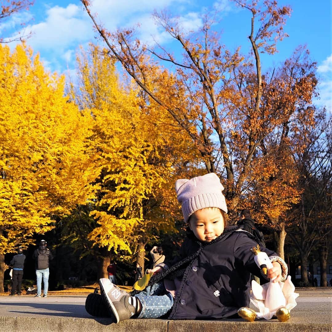 Kuboi Ayumiさんのインスタグラム写真 - (Kuboi AyumiInstagram)「上野公園で娘たちと紅葉を楽しみながら遊んできました。﻿ 黄色の葉っぱがとてもきれいで、娘たちは葉っぱやドングリを集めたり﻿ 地面にお絵描きしたりと楽しそうでした。﻿ ﻿ 最近どこに行くにも、スワンちゃんを連れてお出かけしている次女。﻿ ﻿ 実はこれ　大好きな ボーテデュサエ（ @beaute_de_sae ）のクリスマスコフレ。﻿ ファンシーシリーズのスワンちゃんです。﻿ イギリスのぬいぐるみブランド”ジェリーキャット”とボーテ デュ サエのコラボコフレで﻿ 王冠とペチコート、トゥーシューズとかわいすぎる！﻿ ﻿ 先日家族でホテルステイした時は、ボーテデュサエのボディ&ヘアミストとハンドクリームもバッグに入れていきました。﻿ 香りはリリーガーデニアです。﻿ ﻿ 気品溢れるユリと上品なクチナシを中心にジャスミン、スズラン、ローズなど優雅で濃厚なホワイト系の花々を贅沢にブレンド。﻿ 甘すぎず、日常でも使いやすい香りです。﻿ ﻿ パッケージもかわいくて、ギフトにもおすすめ。﻿ ﻿ ﻿ ﻿ #ボーテデュサエ #beautedesae #コスメ #pr #愛され女子﻿ #ジェリーキャット #Christmas #クリスマスコフレ #コフレ #クリスマス﻿ ﻿ @jellycat_japan﻿」12月15日 21時52分 - himekagami