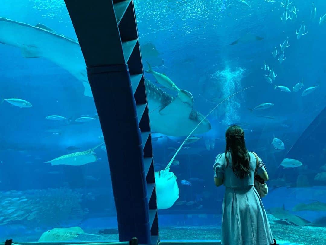 高岡薫さんのインスタグラム写真 - (高岡薫Instagram)「ただただ見てるだけの写真 ジンベイザメ待ってる間、ちょこちょこエイが遊びにきてくれました！ エイ可愛くて好き🥰  #美ら海水族館  #ジンベイザメ #エイ」12月15日 21時59分 - kaorumba1129