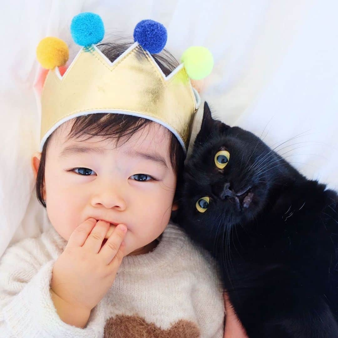 ギネス & ピムスさんのインスタグラム写真 - (ギネス & ピムスInstagram)「15/12/2019 Happy Sunday! ・ 🤴Nagi (1 year old). 🤴Guinness (5 years old). ・ Enjoy the rest of your weekend! ・ ・ 1歳記念に おやつ片手に王冠つけた凪くんと 5歳になっても 甘えん坊な黒光り王子。 写っていないピム丸は 足元で凪くんのおやつを狙っておりました。笑 凪くん前髪が伸びて来たので そろそろカットかな。 それでは皆さま 引き続き素敵な週末を♬ ・ ・  #ギネスくん　 #ギネピムと凪くん  #1yearold #生後12ヶ月 #1歳  #babyboy #男の子ベビー #赤ちゃんのいる生活 #赤ちゃんのいる暮らし #赤ちゃんと猫 #猫と赤ちゃん」12月15日 22時37分 - rina_takei