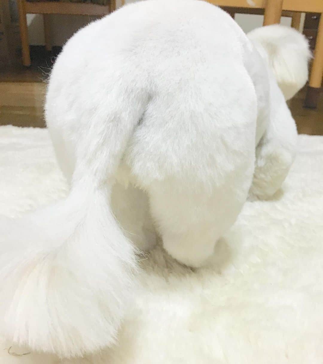 こなつのインスタグラム：「ぷりぷりにーず🍑🍑🍑🤤💕」