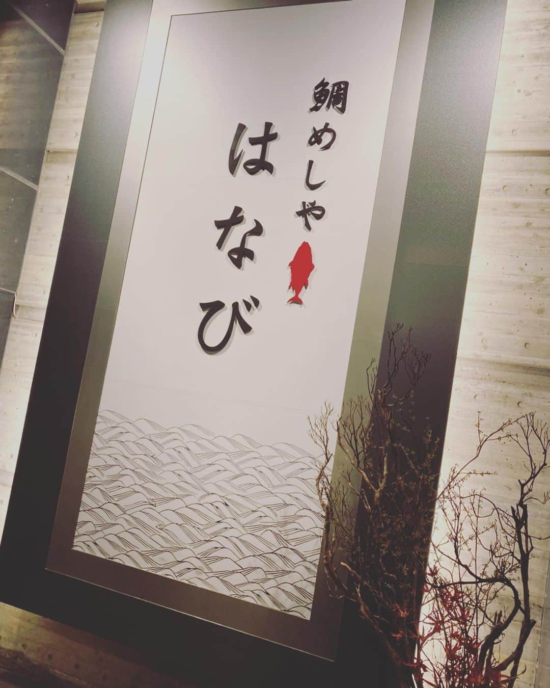 Yuka Maeda ::manicurelistのグルメインスタ