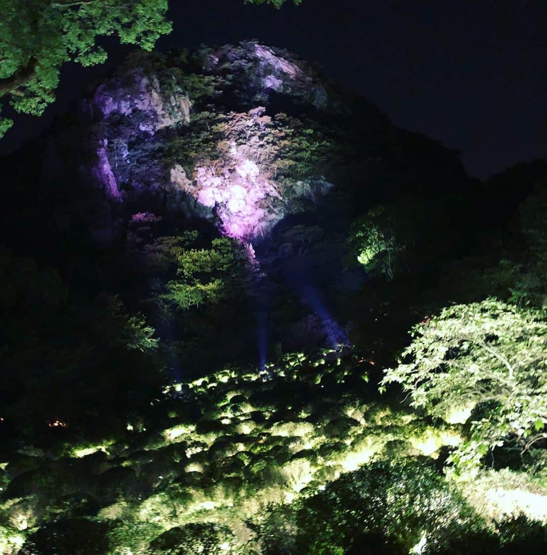 小林佳果さんのインスタグラム写真 - (小林佳果Instagram)「神秘的な空間。 またいつか、行きたい。  #かみさまがすまう森 #チームラボ #武雄温泉 #御船山楽園」12月15日 23時51分 - keika_kobayashi