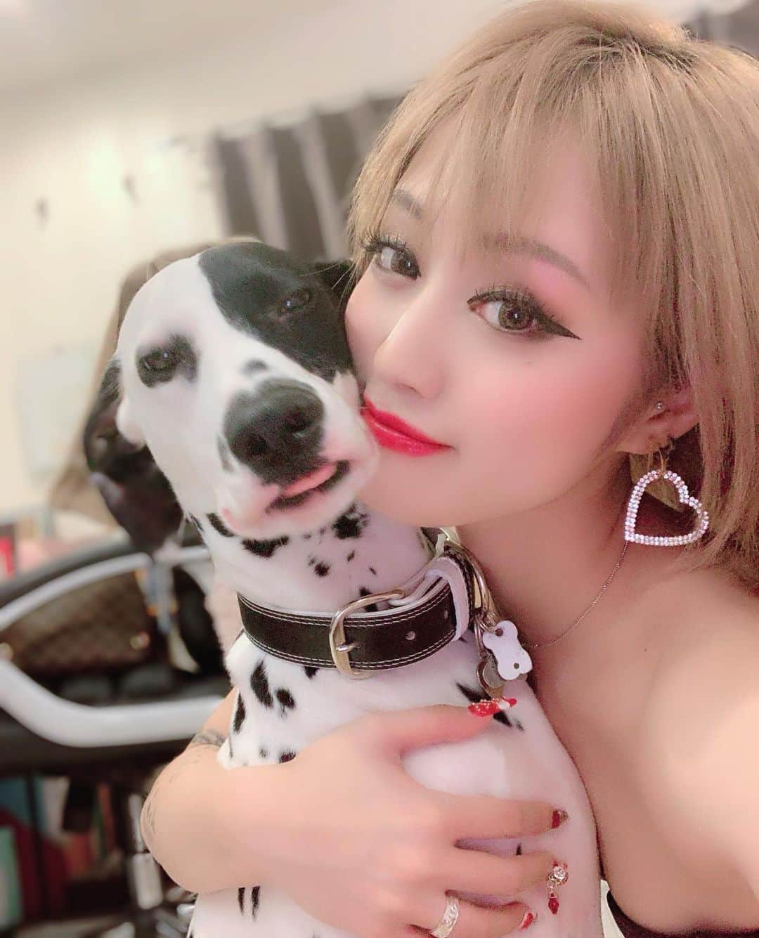 のインスタグラム：「. 親バカです ストーリーにも書きましたが 小さい頃から犬に囲まれた生活なので犬がいない環境が耐えられません🐶 祖母の家も7匹います笑  我が家はいま５匹✨💖それぞれ個性があってみんな可愛いです。 でも、このメロディーは特別に可愛いのです。 12/17で1歳になる彼女はもう20キロあります。大型犬は2歳くらいまで成長するというので恐ろしい笑 二本足で立つと私の首あたりまであります。 こんな大きい体なのに、一番甘えん坊で手がかかります。毎日喧嘩します。  寝るときは彼女を後ろから抱きしめるようにして寝ます。暑いです。 でも最高に可愛いです。 . . #ダルメシアン #愛犬家 #犬 #犬のいる暮らし #犬好きな人と繋がりたい #大型犬 #dog #dalmatian #101匹わんちゃん #101dalmatians #doggy #dogsofinstagram #dogstagram」