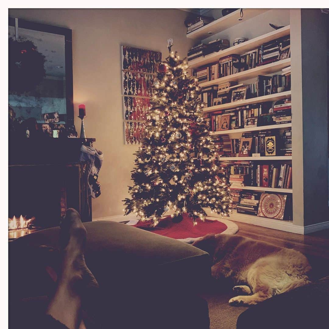 アナベス・ギッシュさんのインスタグラム写真 - (アナベス・ギッシュInstagram)「Shhhh.... it’s Sunday morning, no one is stirring. I am reading a book in the quiet warmth of beautiful light. It is no small thing to find this simple peace and heart-expanding gratitude. 🎄🎄🎄」12月16日 1時05分 - annabeth_gish