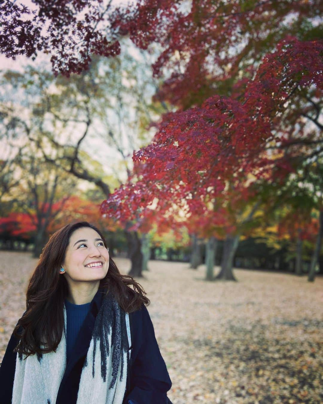 槙あやなさんのインスタグラム写真 - (槙あやなInstagram)「いつかの紅葉散歩🍁  #紅葉 #散歩 #代々木公園 #この日は #平和だったなぁ」12月16日 1時41分 - ayana_maki