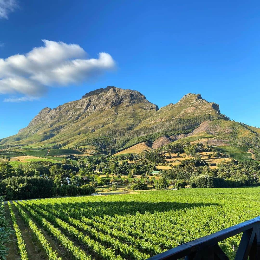ダグラス・ラザノのインスタグラム：「Took 38 hours to get here but this view is worth it! Hello South Africa! 🇿🇦 #stellenbosch #capetown #roomwithaview」