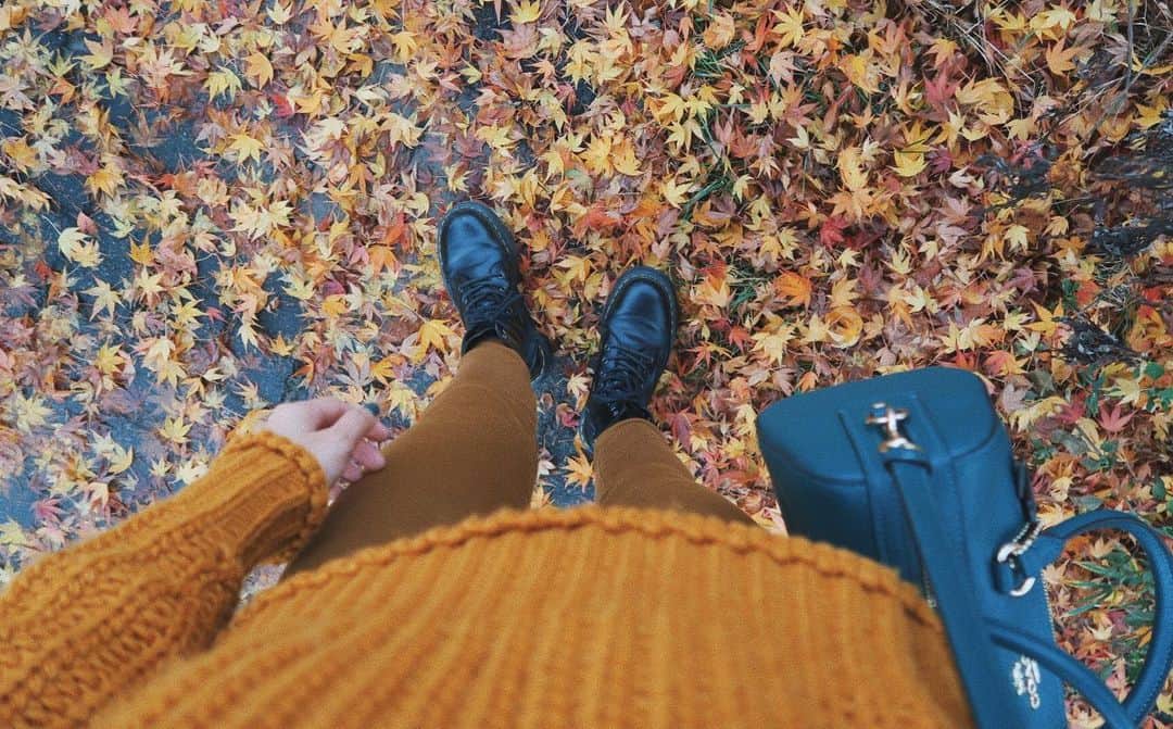 MiracleVellMagicのインスタグラム：「Autumn leaves are some of my favorite things on this planet🍂 四季って、なんて美しいものなんだろうね。一年たった365日の中で住む世界が4色に変わるなんて！ 季節の変わり目は毎回ドキドキするんだなぁ。 . 中でも私のお気に入りの季節は、秋。なぜかって、紅葉を見るのが大好きだから。🍁 真っ黄色の絵の具で塗りつぶしたようなイチョウ、見るだけで心がぽかぽかしてくる赤いもみじ。はぁ。。目が嬉しくって嬉しくって！ . 今年は暖冬だから、長く紅葉を楽しめるね。幸せ！お正月にスキーが出来るかどうか心配だけど。笑 . . #autumnleaves #fall #autumn #fallfashion #fallcolors #falloutfits #紅葉 #秋 #秋コーデ」