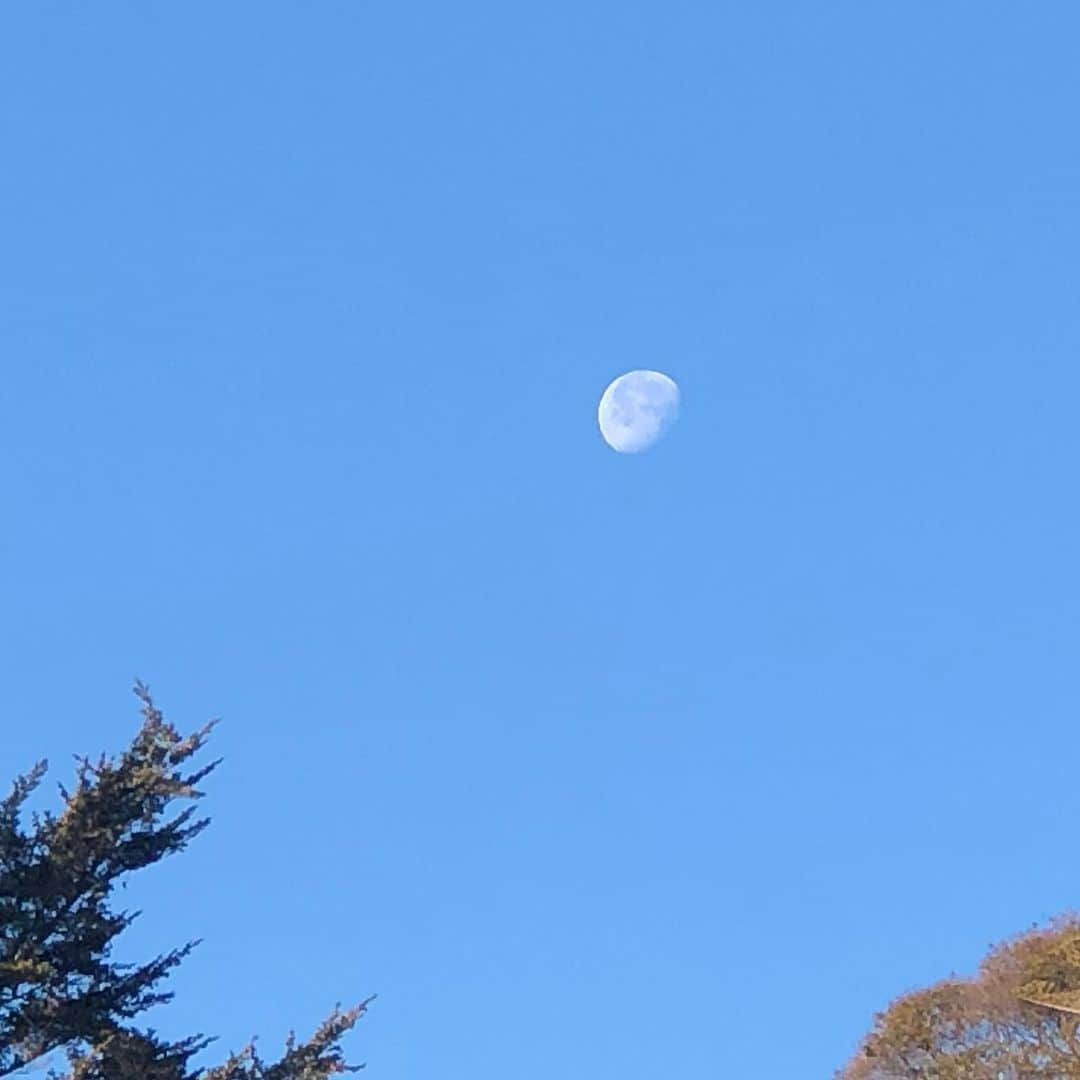 アキ（荒木良明）さんのインスタグラム写真 - (アキ（荒木良明）Instagram)「まだ西に月が見える時間、あー清々しい。タイミングよく行けたので大切な仕事前にお参り🙏✨ #白い月 #青い空 #大先輩の木 #パワーチャージ #いぃよぉ #そういう時期でしょ #吉本新喜劇アキ」12月16日 9時20分 - mizutamareppuaki