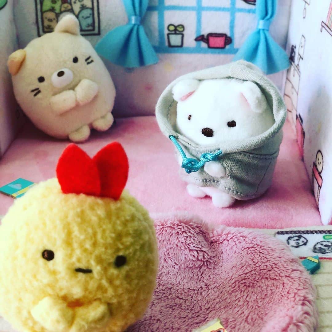 加藤夏希さんのインスタグラム写真 - (加藤夏希Instagram)「🧸 子供のおもちゃだけど ママが癒されてる #すみっコぐらし」12月16日 9時43分 - natsukikato_official