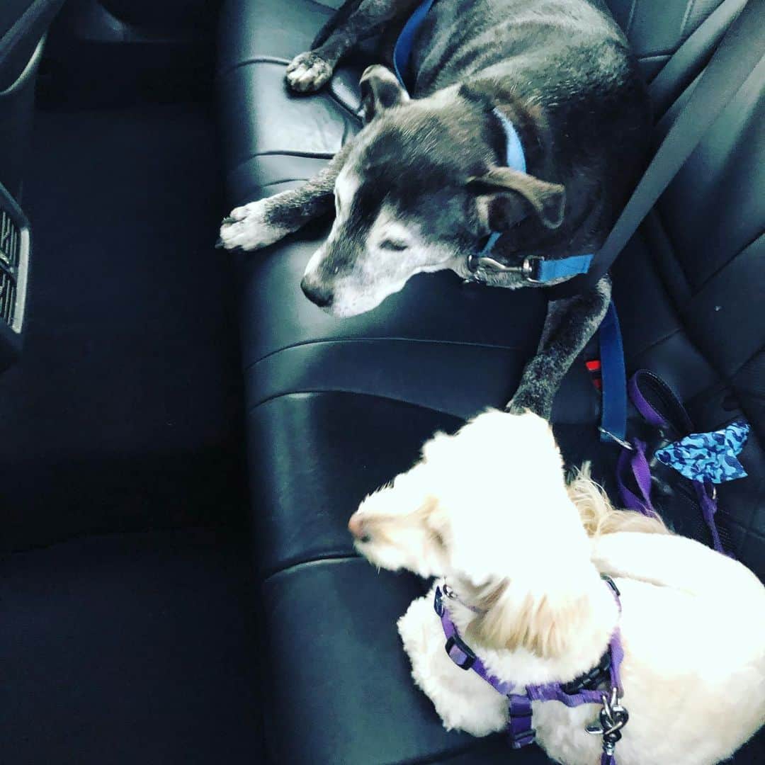メアリー・マクドネルのインスタグラム：「exhausted from the beach cold crisp Christmassy! it’s coming!!!!」