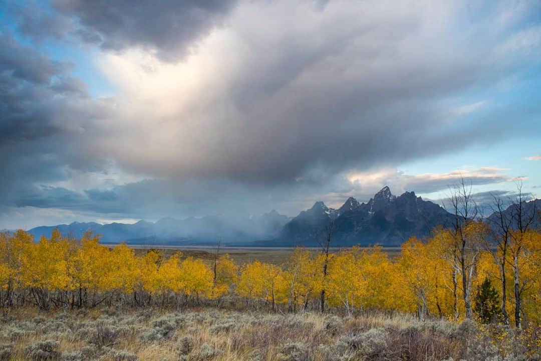 National Geographic Travelさんのインスタグラム写真 - (National Geographic TravelInstagram)「Photo by @drewtrush | A snow squall moves quickly through Grand Teton National Park in the fall. Now cooler temperatures are settling over the valley, and animals are making their way to lower elevations, where they'll spend the winter. To see more landscapes from across the West, follow along with @drewtrush. #stormy」12月16日 10時04分 - natgeotravel